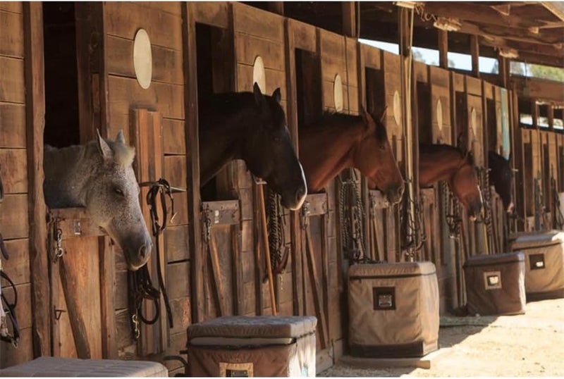 Laeacco Stable Backdrop 7x5ft Vinyl Photography Background StudFarm Horses Scene Farm Country Village Rustic Rural Theme Cowboy Portrait Background Prop - Image 1