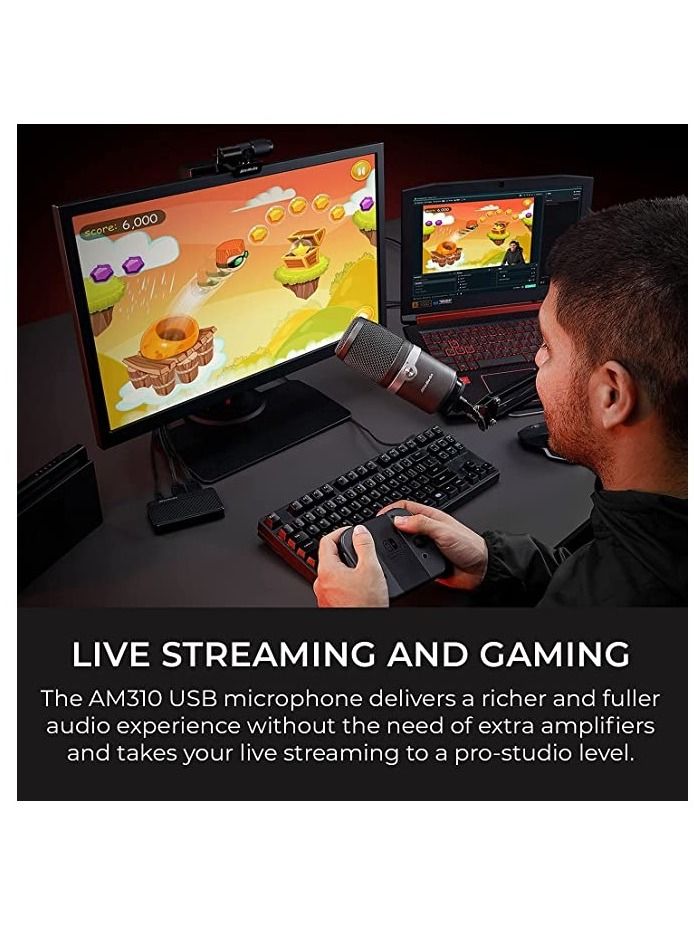 AVerMedia Godwit 310 USB Microphone - AM310 - Image 5