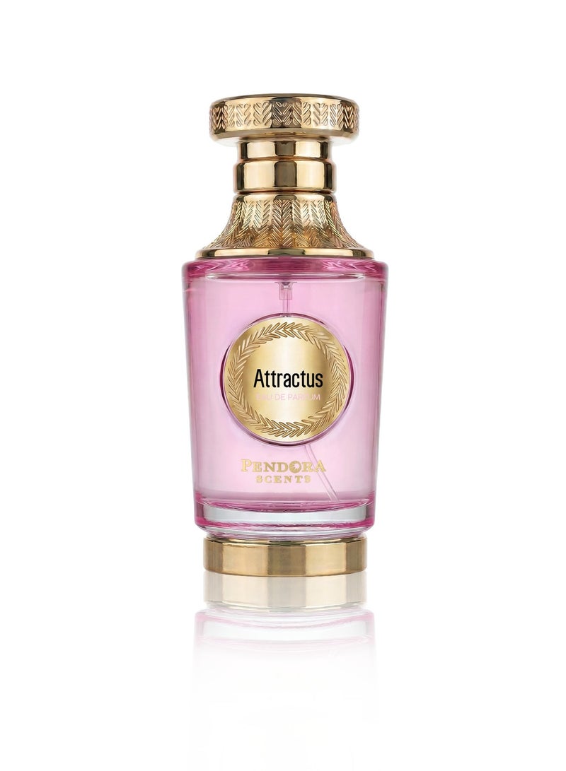 Pendora Scents Attractus 100ml EDP - Image 1