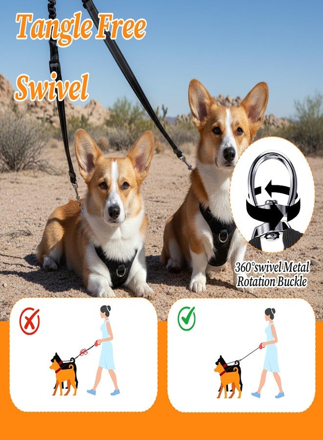 Tyqour Double Dog Leash for Two Dogs, Dual Leashes No Tangle Leashs for 2 Dogs Walking, No Pull Two Dog Leash - Image 4
