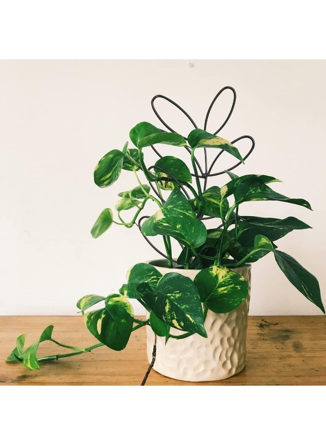 NANAO 2Pack Indoor Plant Trellis Metal Wire Garden Trellis ，Small Climbing Leaf Shape Trellis for Garden Potted Plant Houseplant(Black&Green) - Image 2