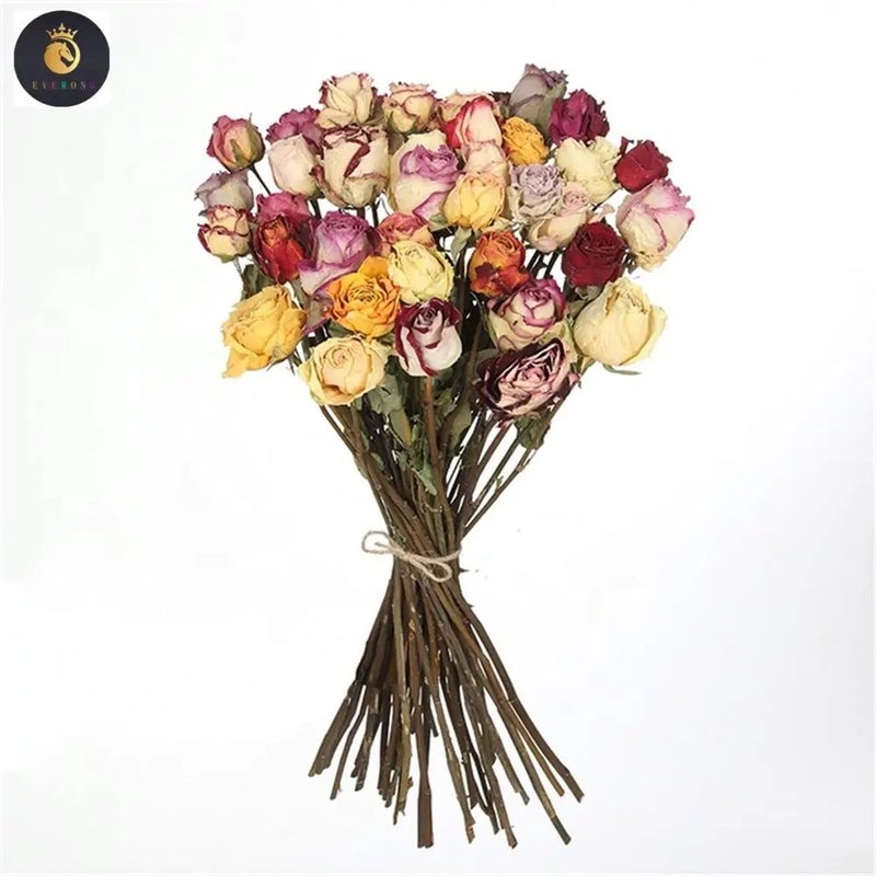 Bluejw M008 Suppliers Decor Dry Flower Bouquet – Forever Lasting Natural Real Dried Roses for Flower Arrangement, Premium Dried Plants for Home Décor - Image 3