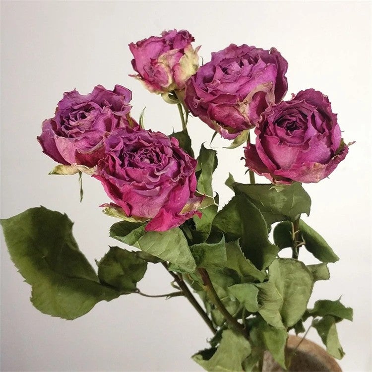 Bluejw M008 Suppliers Decor Dry Flower Bouquet – Forever Lasting Natural Real Dried Roses for Flower Arrangement, Premium Dried Plants for Home Décor - Image 1