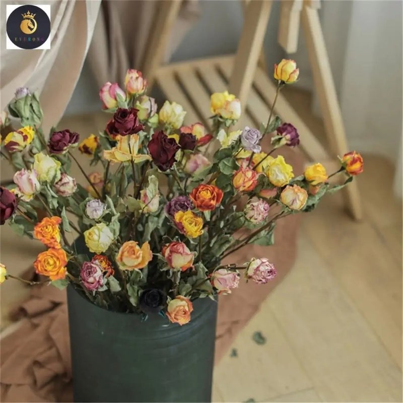 Bluejw M008 Suppliers Decor Dry Flower Bouquet – Forever Lasting Natural Real Dried Roses for Flower Arrangement, Premium Dried Plants for Home Décor - Image 5
