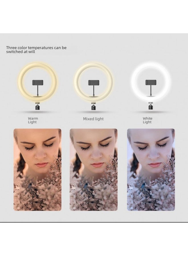 general 12-inch Selfie Beauty Light Desktop Floor Ring Light 10-inch 26cm Network Live Broadcast Fill For Women-Color:26cm Ring Lamp + Gimbal + Mobile Phone Hose Clamp +55cm Tripod + Bluetooth Remote Control  - Image 5