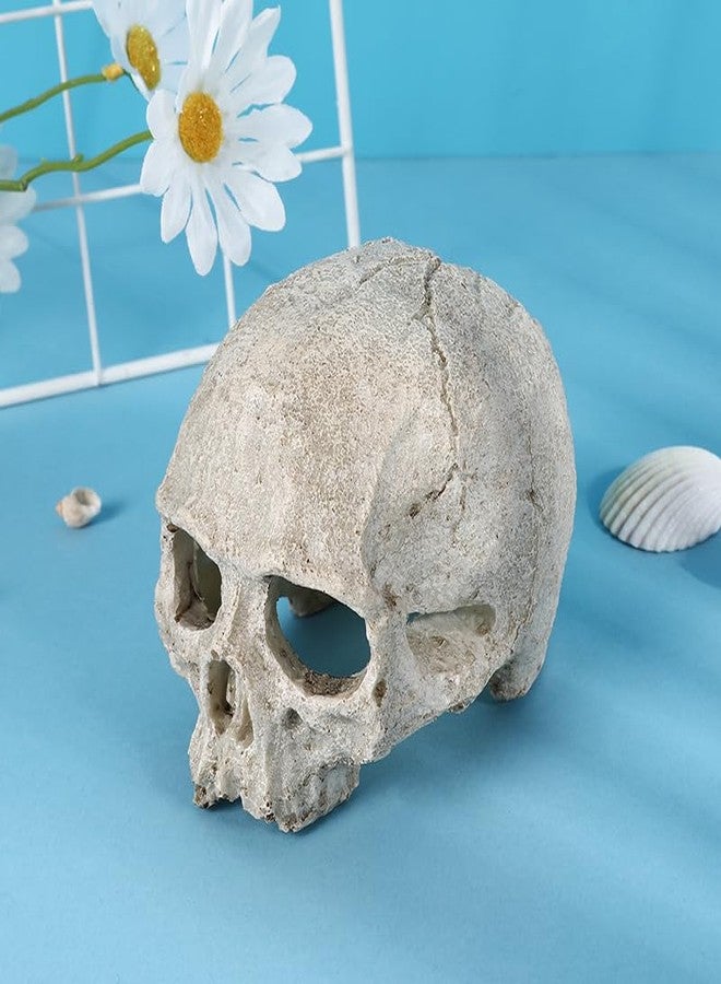 Hosfairy Halloween Aquarium Landscape Skull Aquarium Skull Artificial Skeleton Decoration for Home Décor Aquarium Fish Tank Landscape Collectible Teaching Prop - Image 2
