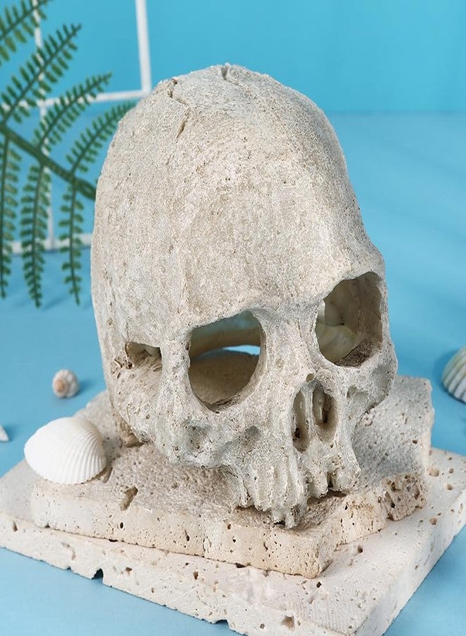 Hosfairy Halloween Aquarium Landscape Skull Aquarium Skull Artificial Skeleton Decoration for Home Décor Aquarium Fish Tank Landscape Collectible Teaching Prop - Image 5