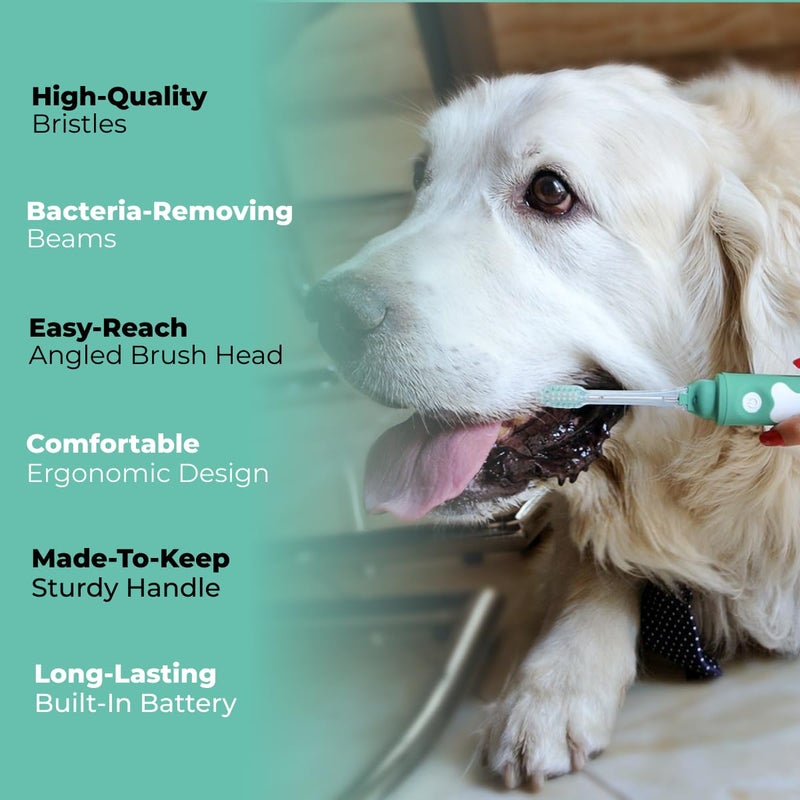 petsie Dog Toothbrush | Innovative Eletrolytic Technology | Improves Oral Health & Reduces Bad Breath | No Vibrations & Silent Teeth Cleaning Brush | No Toothpaste Needed | Dog Teeth Cleaning Kit - Image 3