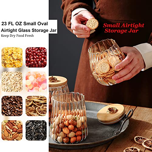 FANTESTICRYAN Glass Coffee Nuts Canister Airtight Storage Jar Petal Decorative Container with Bamboo Lid Metal Handle Easy to Grasp 700ml, 23 FL OZ - Image 2