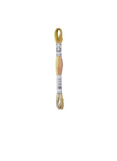 DMC DMC Coloris 6-Strand Embroidery Cotton Floss 8.7yd Frosted Countryside  - Image 2