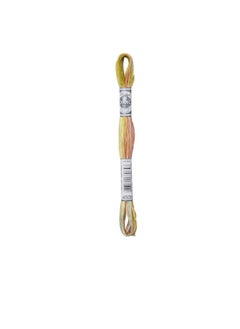 DMC DMC Coloris 6-Strand Embroidery Cotton Floss 8.7yd Frosted Countryside  - Image 1