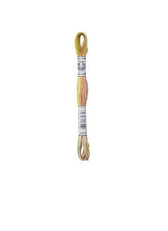 DMC DMC Coloris 6-Strand Embroidery Cotton Floss 8.7yd Frosted Countryside  - Image 3