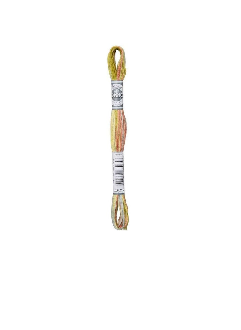 DMC DMC Coloris 6-Strand Embroidery Cotton Floss 8.7yd Frosted Countryside  - Image 3