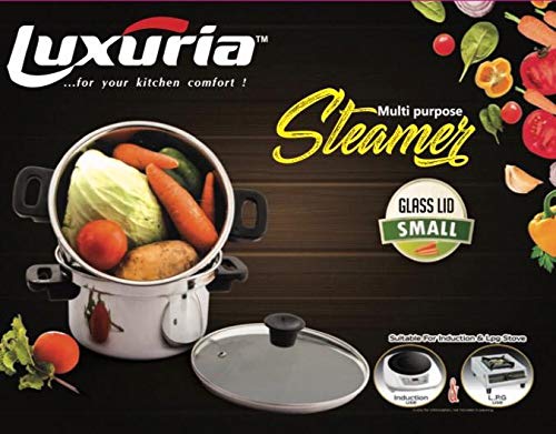 LUXURIA Stainless Steel Steamer With Glass Lid- Silver - Image 5