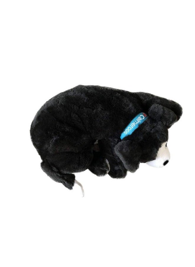 لعبة Calmeroos Puppy Heartbeat مساعدة على النوم مع كمادات حرارية طويلة الأمد تدوم 36 ساعة لكل منها، لتخفيف قلق الجراء، مهدئ للكلاب، مساعد سلوكي مهدئ للحيوانات الأليفة (أسود وأبيض)  - Image 5