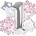 Kriyokiaa Winter Onederland 1st Birthday Party Decorations 40 Pink One Balloon for First Birthday Decorations Wonderland Snowflake Foil Helium Balloons 1st Girl Party Supplies Pink - Image 2