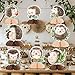 SHADOAMP Hedgehog Birthday Party Decoration 8pcs Hedgehog Honeycomb Centerpiece DoubleSided Printing Table Decoration for Hedgehog Woodland Forest Jungle Animal Birthday Baby Shower Party Decoration - Image 4