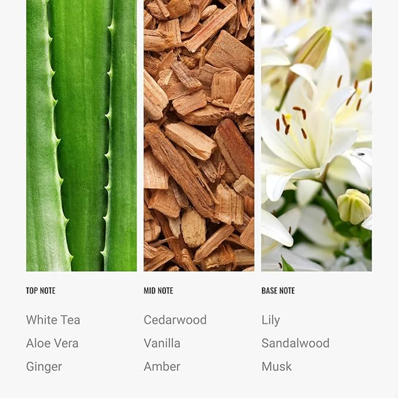 Hotel Collection  Dream On Fragrance Oil Blend - Hotel Inspired for Luxury Essential Oil Diffusers - Aromatherapy Scent Diffuser Oil - White Tea, Cedar, and Aloe Vera- 50 mL, 1.7 fl oz  | Best Price UAE