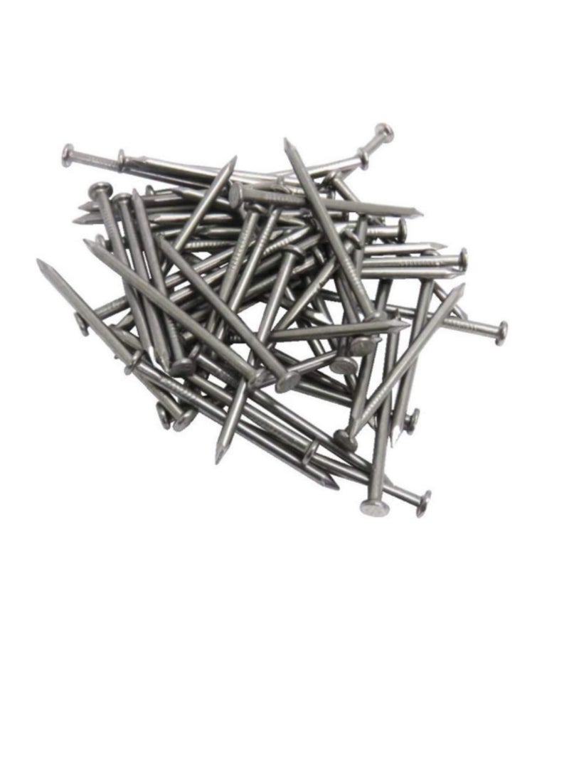 High Strength Round Head Nails For Carpentry Hardware Electrical Etc (300, 6 inch) - Image 2