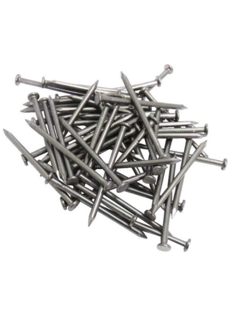High Strength Round Head Nails For Carpentry Hardware Electrical Etc (300, 6 inch) - Image 1
