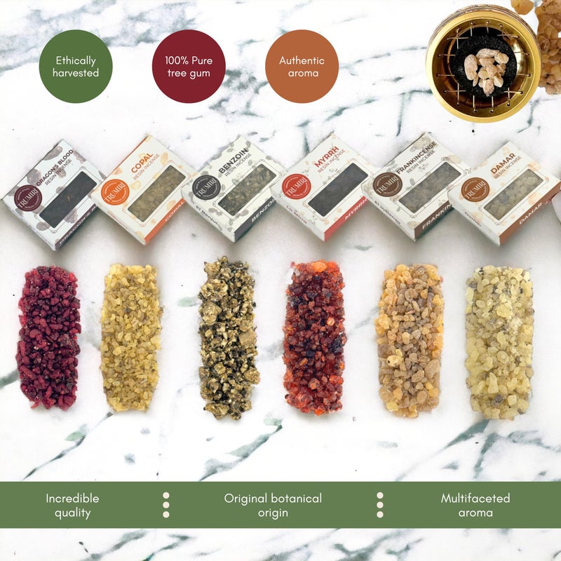 TRUMIRI Resin Incense - Natural Tree Gum Sap - 6x30g Variety Pack Including Frankincense and Myrrh Copal Benzoin Dragon's Blood Damar - Image 4