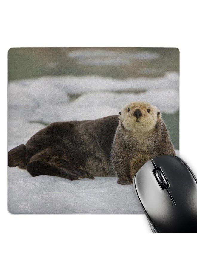3DROSE Sea Otter, Holgate Glacier, Kenai Fjords, Alaska, USA Mouse Pad, 8" x 8" (mp_141850_1) - Image 1
