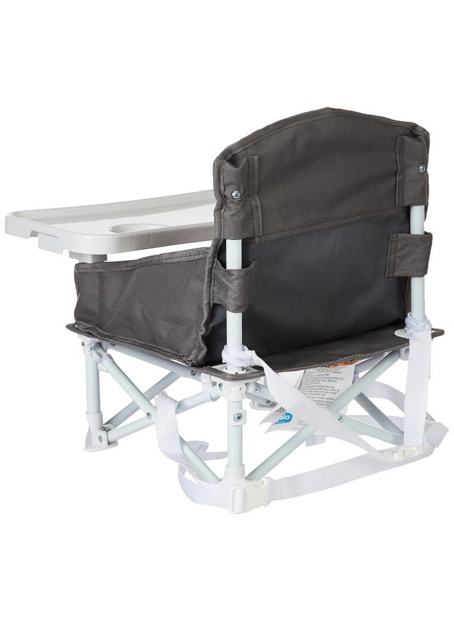 Regalo - Regalo My Chair 2-in-1 Portable Travel Booster Seat & Activity Chair, Bonus Kit Includes, Oversized Removable Tray with Cup Holder, Gray - Image 1