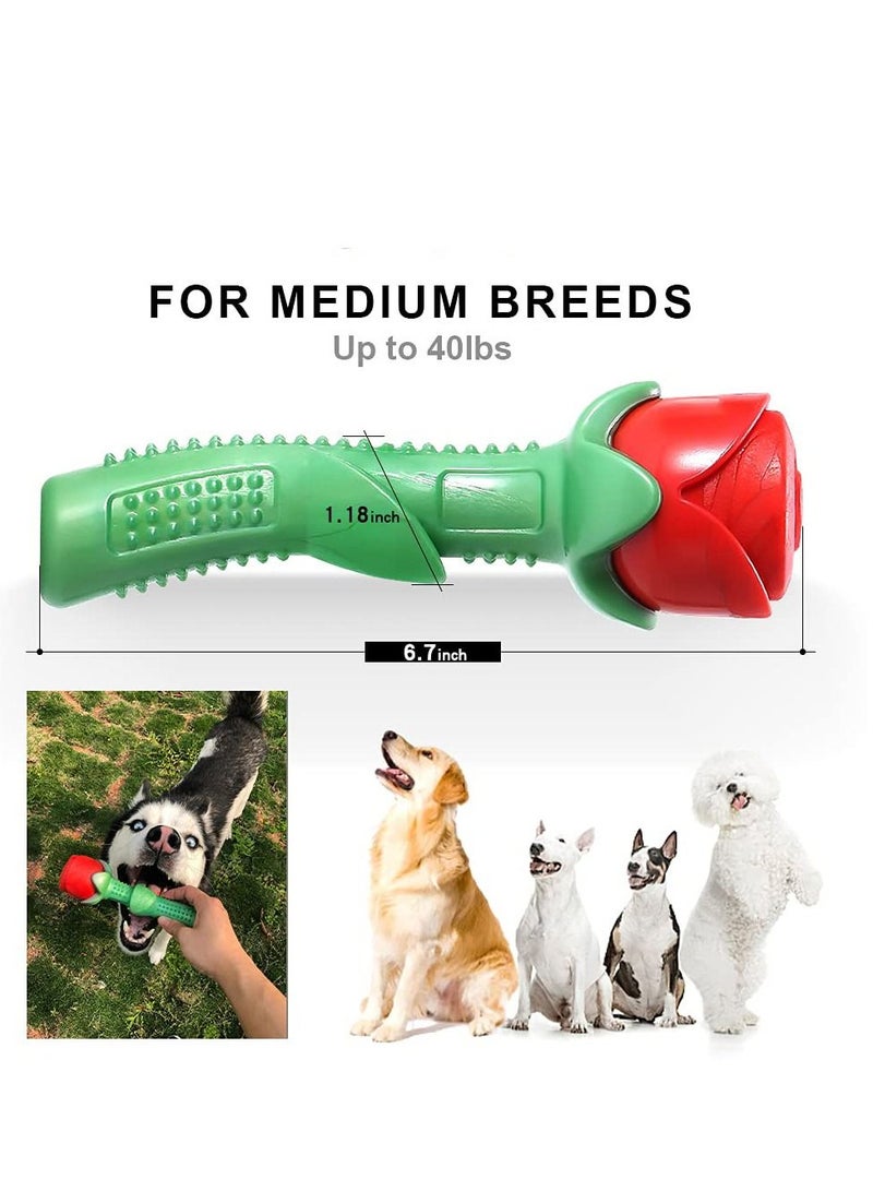 Dog Chew Toys, Dog Toothbrush Stick Teeth Cleaning Brush Dental for Small Medium Large Dog,  Dogs Puppy Birthday Gift Training Pool Floating Chew Toys, Training Pool Floating Chew Toys