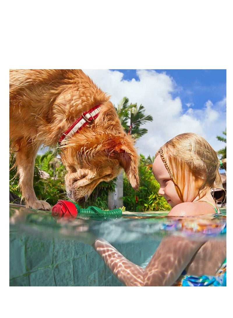 Dog Chew Toys, Dog Toothbrush Stick Teeth Cleaning Brush Dental for Small Medium Large Dog,  Dogs Puppy Birthday Gift Training Pool Floating Chew Toys, Training Pool Floating Chew Toys