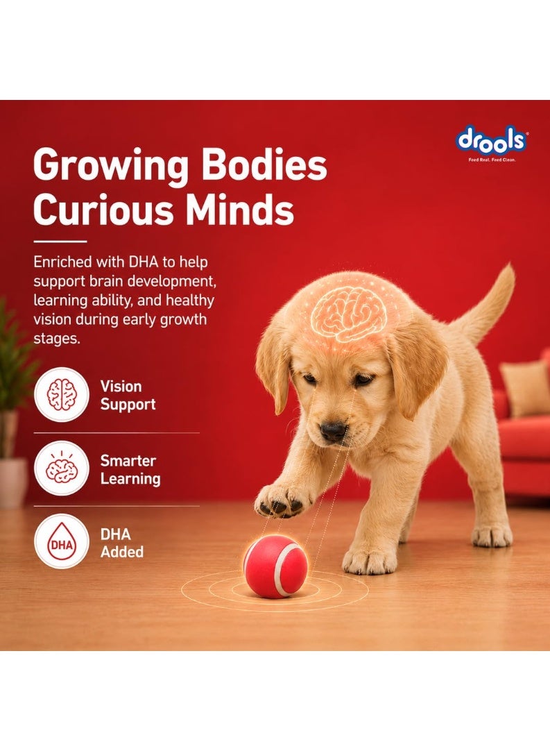 Drools Pup Booster for Dogs Weaning Diet 300g Pack | Chicken Flavour | All Breed Formula | Promotes Growth and Development | Prebiotics and Probiotics - Image 4
