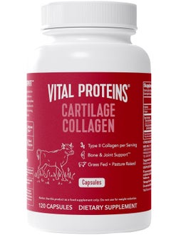 Cartilage Collagen Pills Type II Collagen & Chondroitin Sulfate Supplement for Recovery & Healthy Hair,skin,nails and Joints 120 Capsules