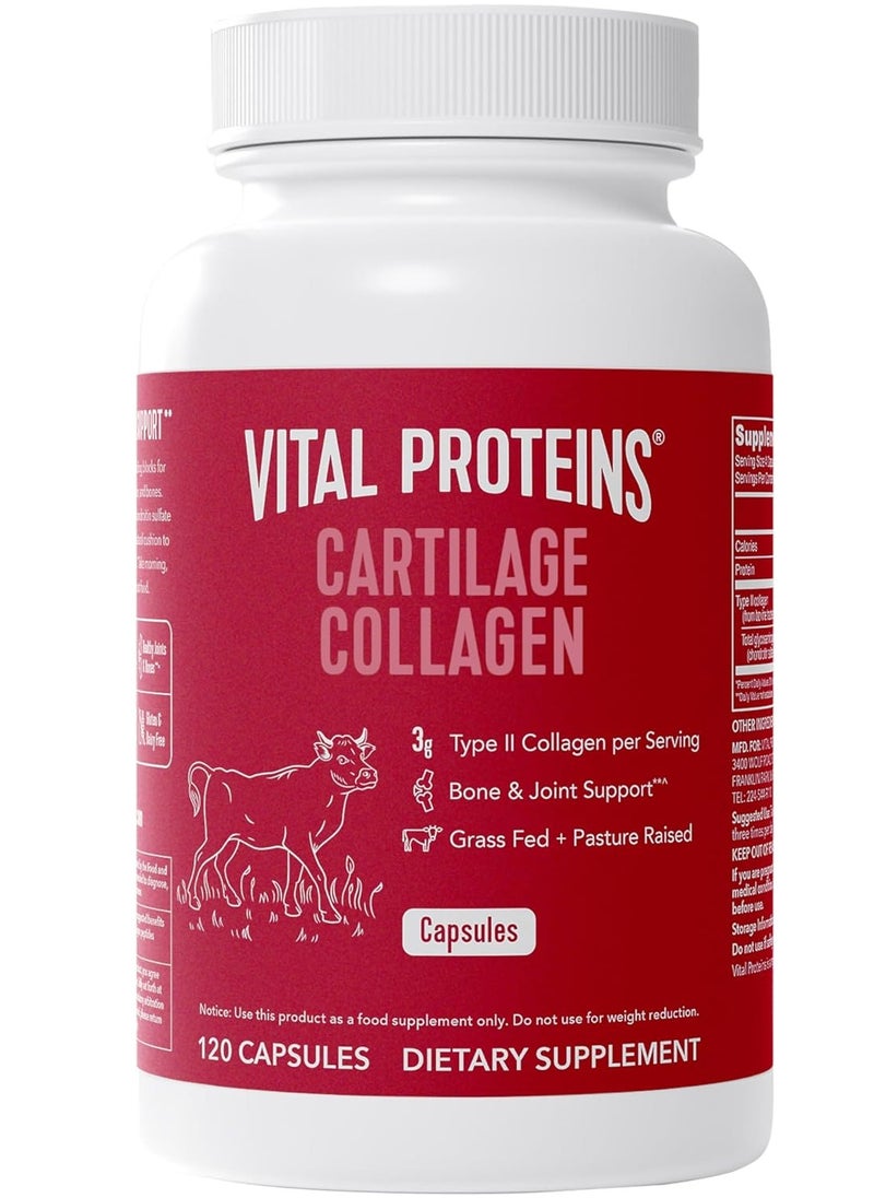 Vital Proteins - Cartilage Collagen Pills Type II Collagen & Chondroitin Sulfate Supplement for Recovery & Healthy Hair,skin,nails and Joints 120 Capsules - Image 1