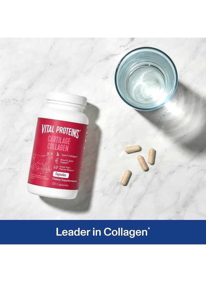 فيتال بروتينز حبوب الكولاجين الغضروفية من النوع الثاني مكمل الكولاجين وكبريتات الكوندرويتين للتعافي وصحة الشعر والبشرة والأظافر والمفاصل 120 كبسولة - Image 2