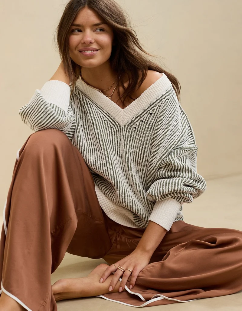 Aerie Aerie Beyond Chenille V-Neck Sweater