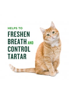 Minties Dental Treats for Cats, (Chicken/Salmon) Flavored Treats for Cats, Freshens Breath and Controls Tartar, 2.5oz