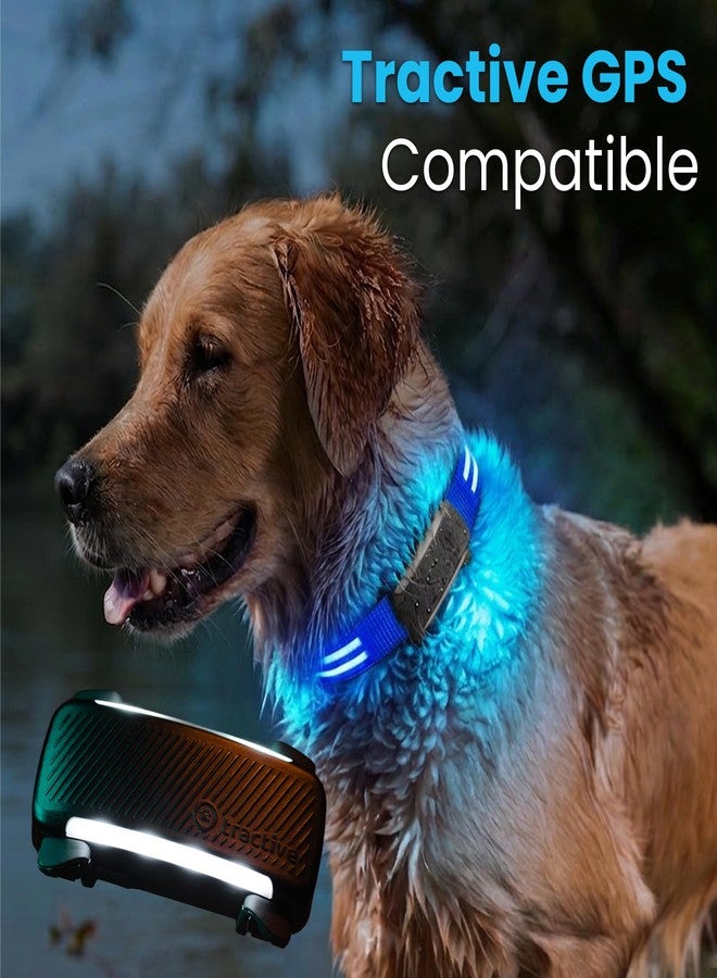 Tractive LED Light Up Dog Collar USB Rechargeable Waterproof (Blue), Large - Image 5