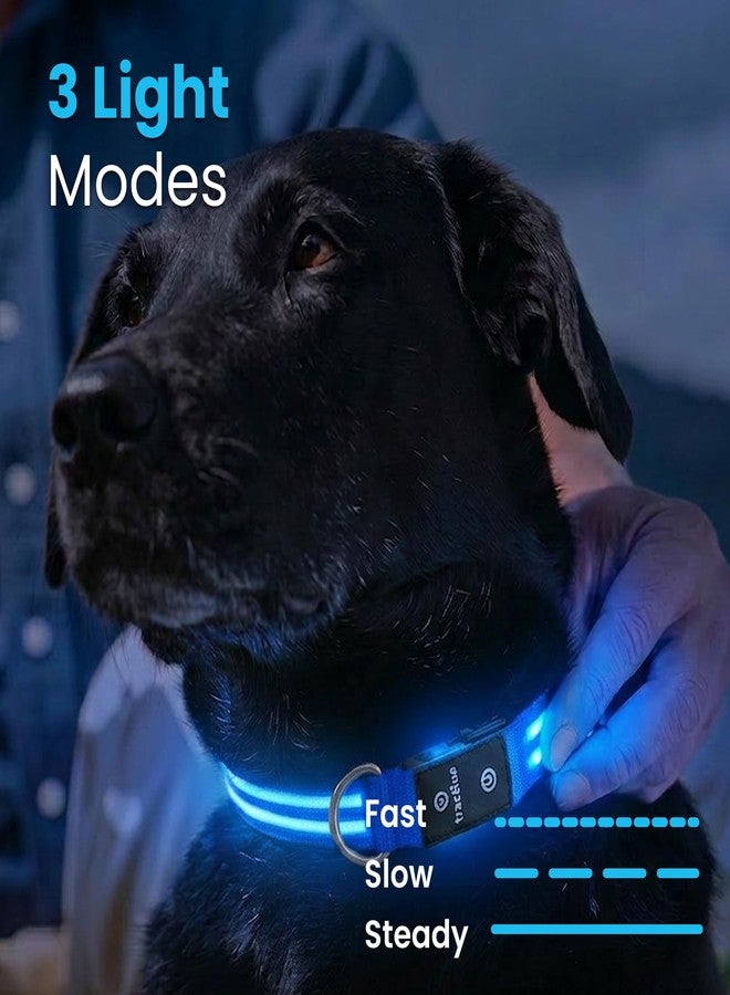Tractive LED Light Up Dog Collar USB Rechargeable Waterproof (Blue), Large - Image 4