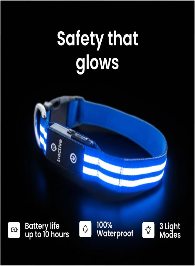 Tractive LED Light Up Dog Collar USB Rechargeable Waterproof (Blue), Large - Image 3