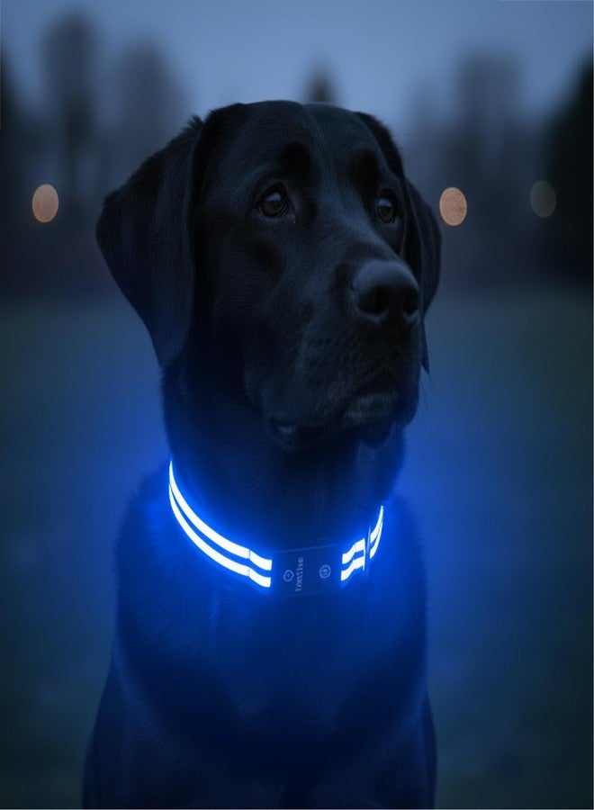 Tractive LED Light Up Dog Collar USB Rechargeable Waterproof (Blue), Large - Image 1