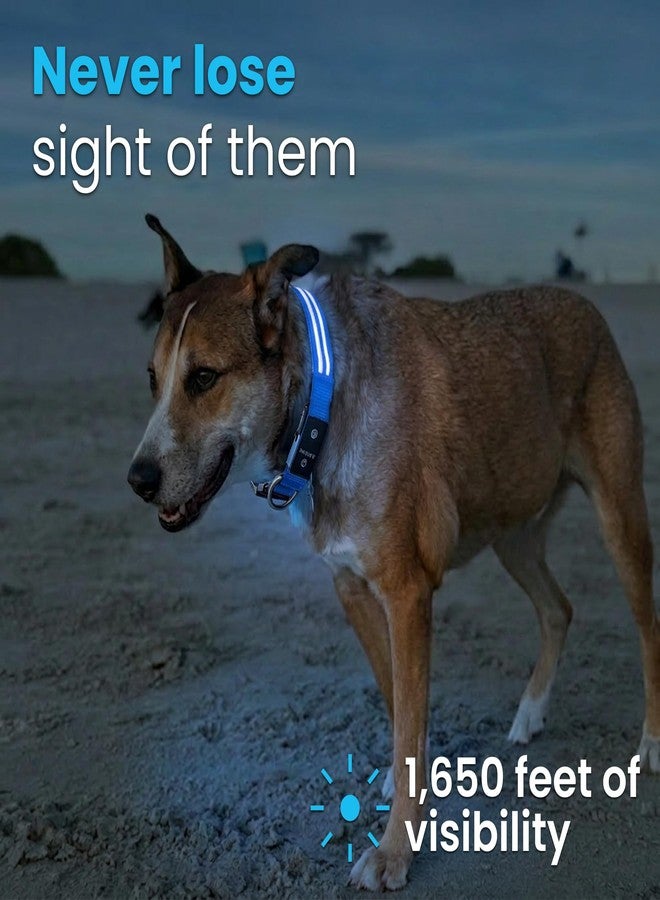 Tractive LED Light Up Dog Collar USB Rechargeable Waterproof (Blue), Large - Image 2