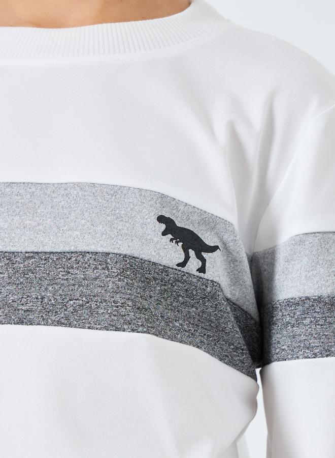 Styli Boys White Striped Panel Sweatshirt - Image 3