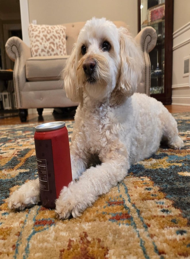 SPOT Fun Beverages Doc Pupper Can Vinyl Squeaker Toy for Small & Medium Dogs, Interactive & Chew-Friendly, Dr. Pepper Design, 4.5-Inch - Image 3