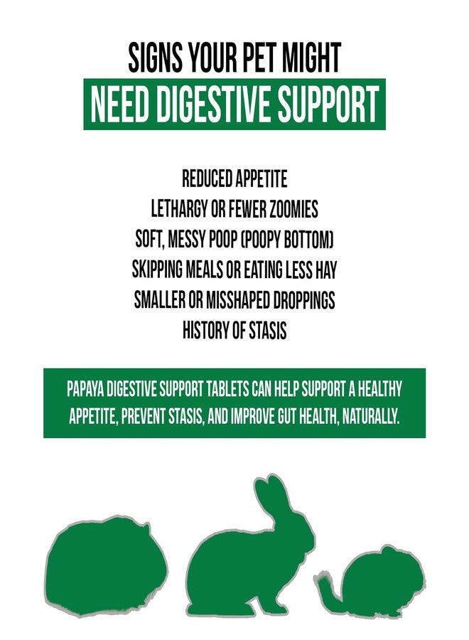 Sherwood Pet Health دعم الجهاز الهضمي، البابايا من شيروود بيت هيلث (100 قرص - 60 غرام). يحتوي على أعشاب طبيعية محفزة لحركة الأمعاء، تنظم الجهاز الهضمي، وتحسن ميكروبيوم الأمعاء، وتحفز الشهية. - Image 2