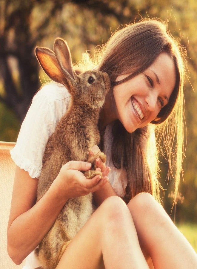Sherwood Pet Health دعم الجهاز الهضمي، البابايا من شيروود بيت هيلث (100 قرص - 60 غرام). يحتوي على أعشاب طبيعية محفزة لحركة الأمعاء، تنظم الجهاز الهضمي، وتحسن ميكروبيوم الأمعاء، وتحفز الشهية. - Image 3