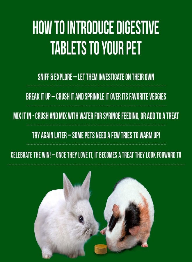 Sherwood Pet Health دعم الجهاز الهضمي، البابايا من شيروود بيت هيلث (100 قرص - 60 غرام). يحتوي على أعشاب طبيعية محفزة لحركة الأمعاء، تنظم الجهاز الهضمي، وتحسن ميكروبيوم الأمعاء، وتحفز الشهية. - Image 5