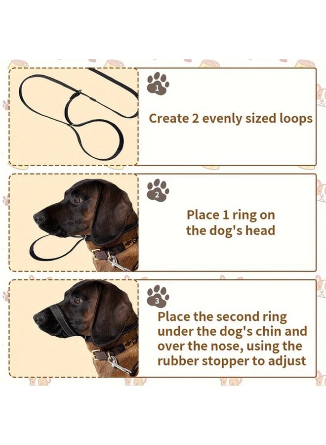 Cover Large Breed Dog Slip Lead Training Leash Red One Size No Pull Elastic Spandecore Hiking Running - Image 4