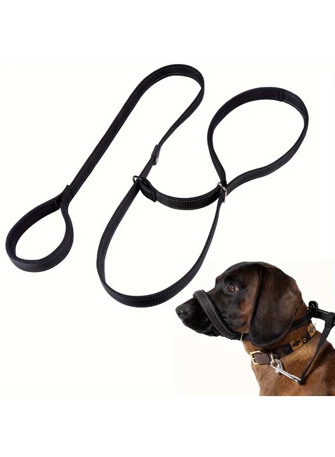 Cover Large Breed Dog Slip Lead Training Leash Red One Size No Pull Elastic Spandecore Hiking Running - Image 1