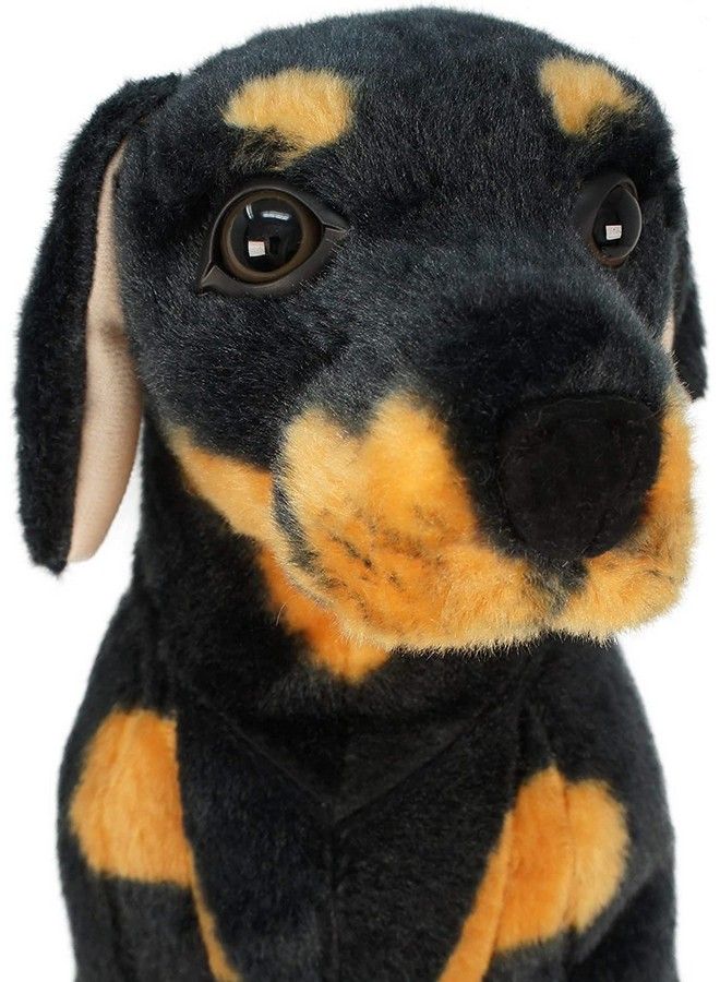 Tickles لعبة حيوان محشوة ناعمة على شكل كلب روتويلر للأطفال (الحجم: 38 سم، اللون: أسود) - Image 4