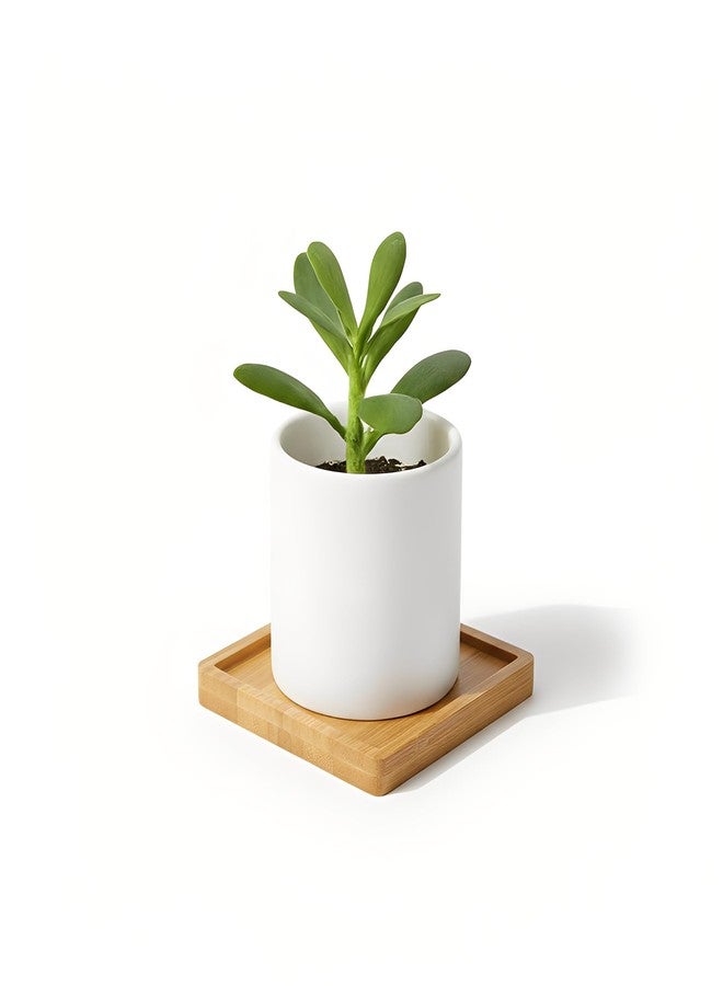 EHR 10 Pcs Square Bamboo Coasters 3.5 Inch, Blank Mats for Crafts - DIY Mosaic Tile Base, Small Indoor Plant Coasters, Reusable Eco-Friendly Design - Image 5