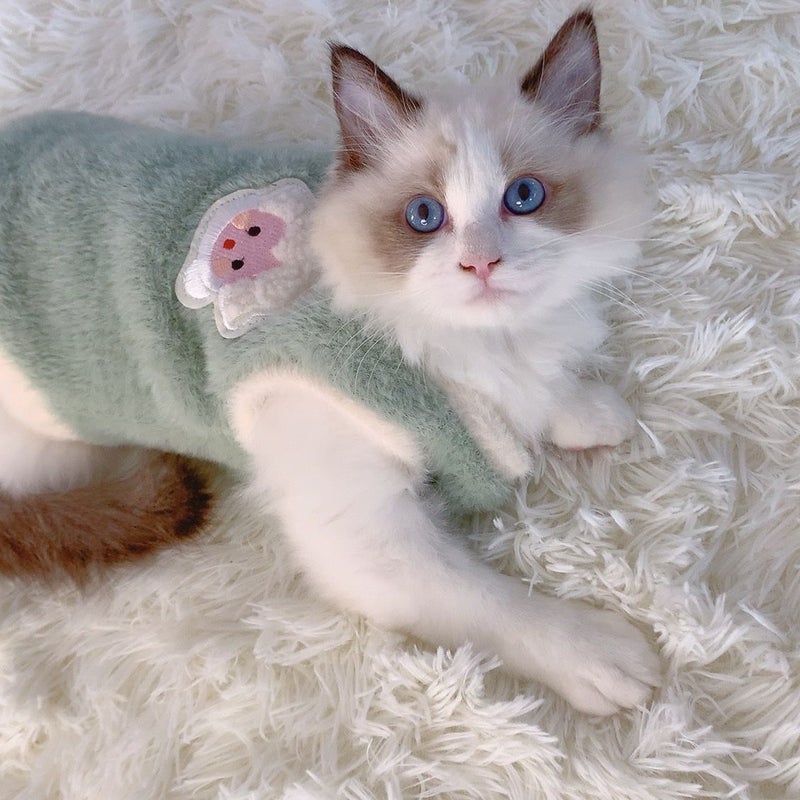 Cat Clothes Winter Warm Hair-Proof Puppet Blue Cat Cute Pet Kitten Small Dog Pet Clothes - Image 5